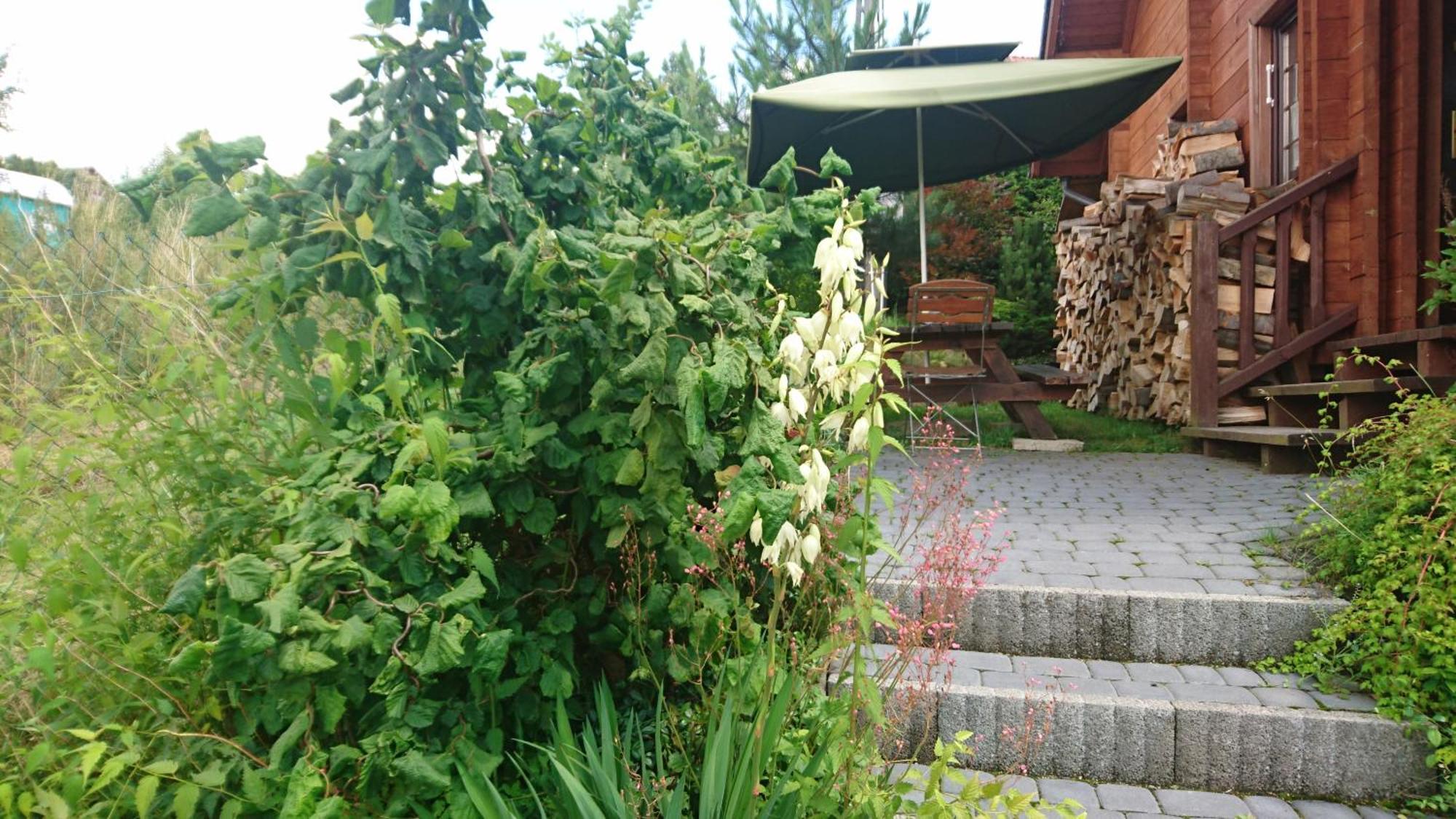 Chatki Qdlatki Kluszkowce Exterior photo